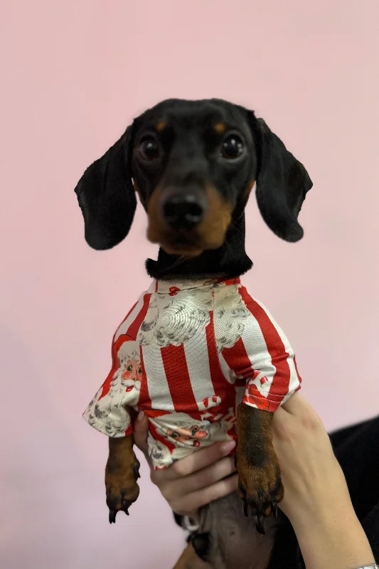 women's pajamas with a sophisticated, modern twistDog Santa Stripe Snuggle Fit Suit